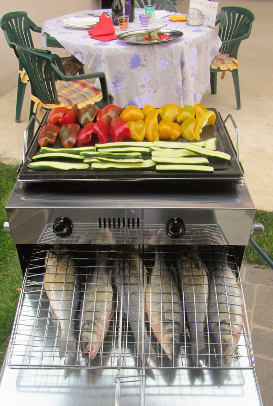 Griglia a Gas Inox - Barbecue inox con cottura dall'alto - Casa Grill Mibos